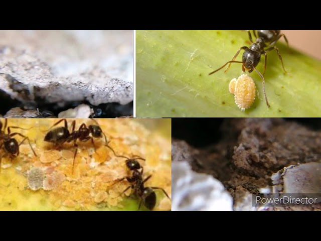 Vuelos-baratos-a-Niger | Paradores.tv