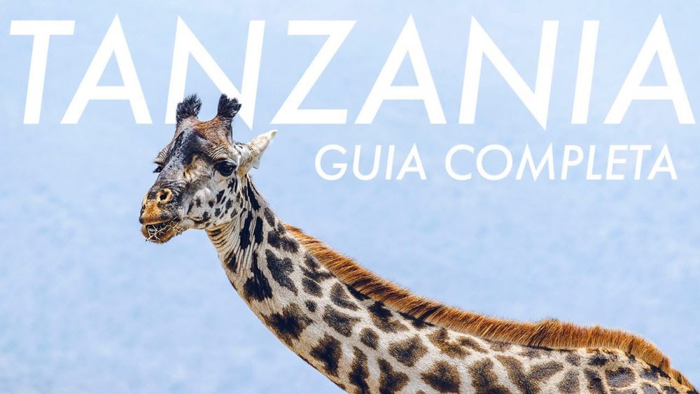 Vuelos-baratos-a-Tanzania | Paradores.tv