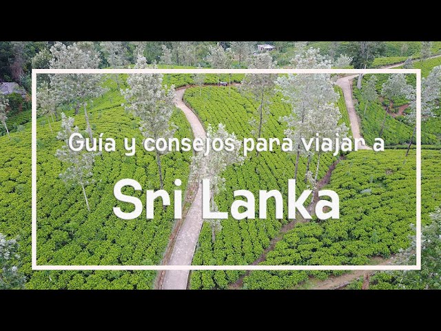 Vuelos-economicos-a-Sri-Lanka | Paradores.tv