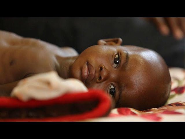 Visitar-Republica-Centroafricana | Paradores.tv