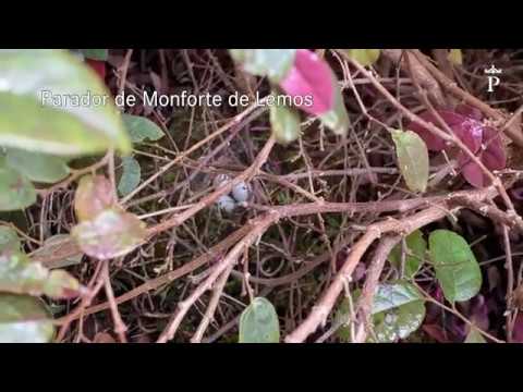 Aventuras-en-la-Naturaleza-Paradores-en-Reservas-Naturales | Paradores.tv