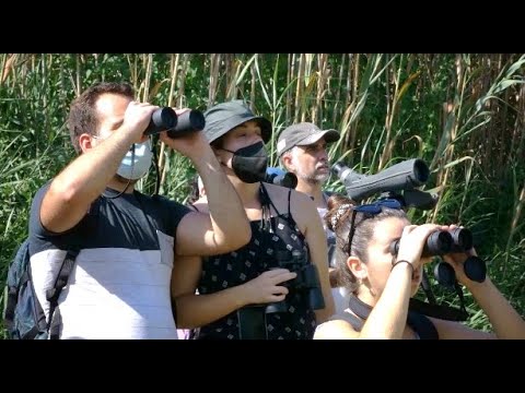 Paradores-y-Rutas-de-Aves-Rapaces-Observacion-en-la-Naturaleza | Paradores.tv