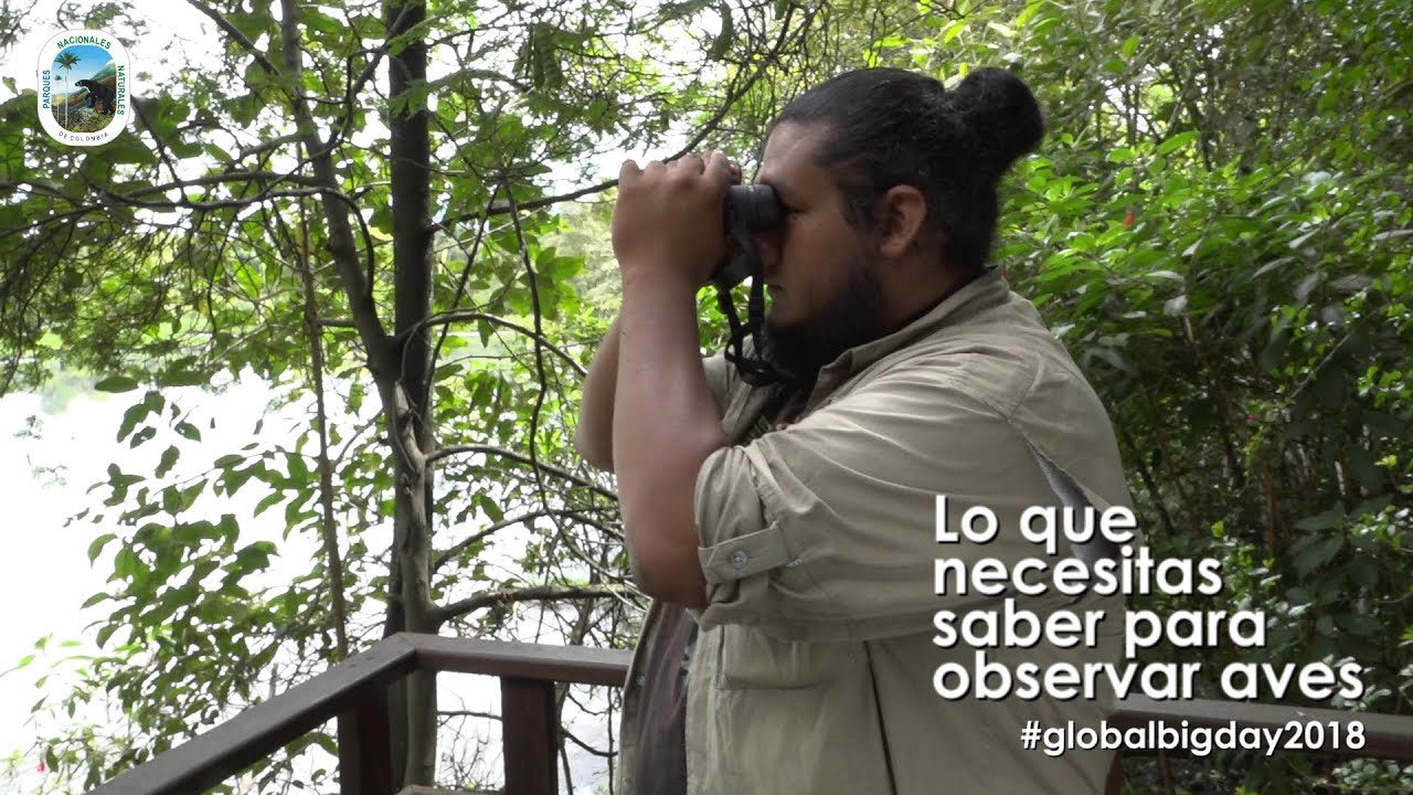 Paradores-y-Rutas-de-Observacion-de-Aves-Paraiso-para-Ornitologos | Paradores.tv
