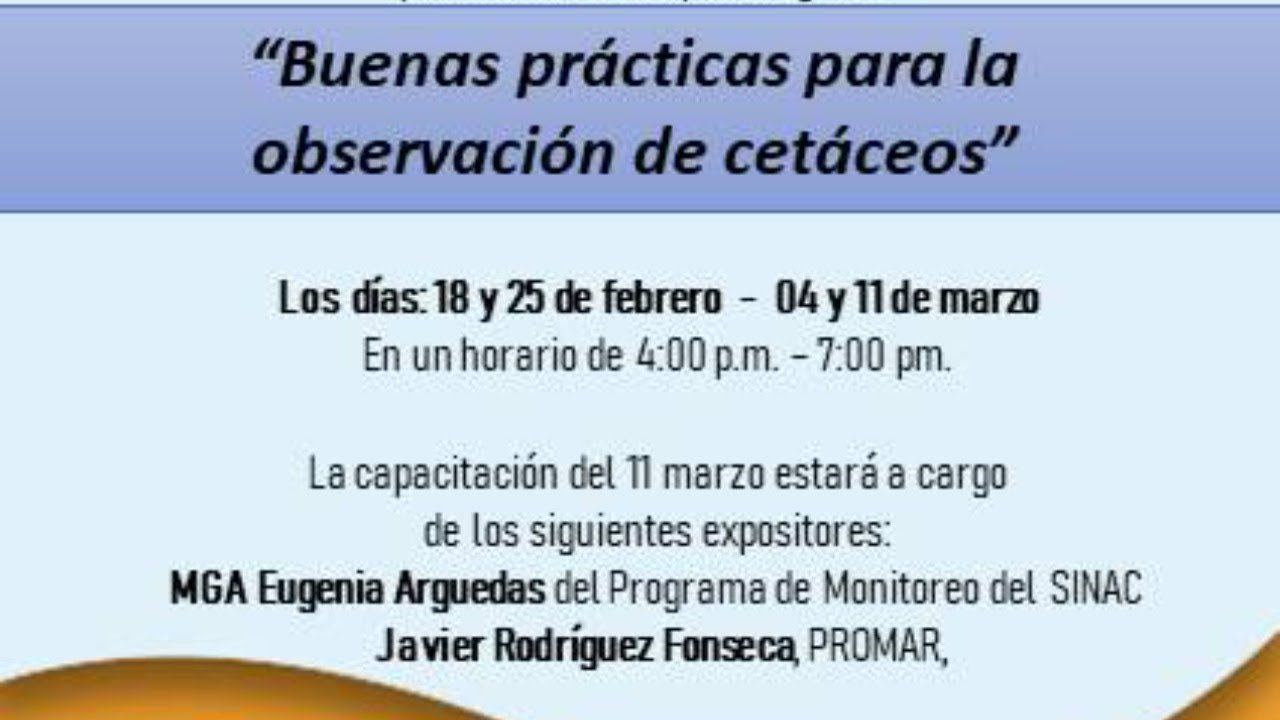 Paradores-y-Rutas-de-Observacion-de-Cetaceos-Encuentros-en-el-Mar | Paradores.tv