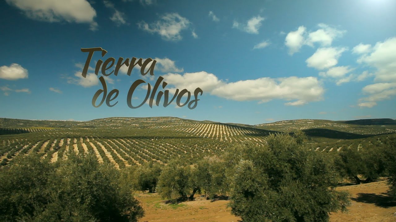Paradores-y-Rutas-del-Aceite-Explorando-Tierras-de-Olivos | Paradores.tv