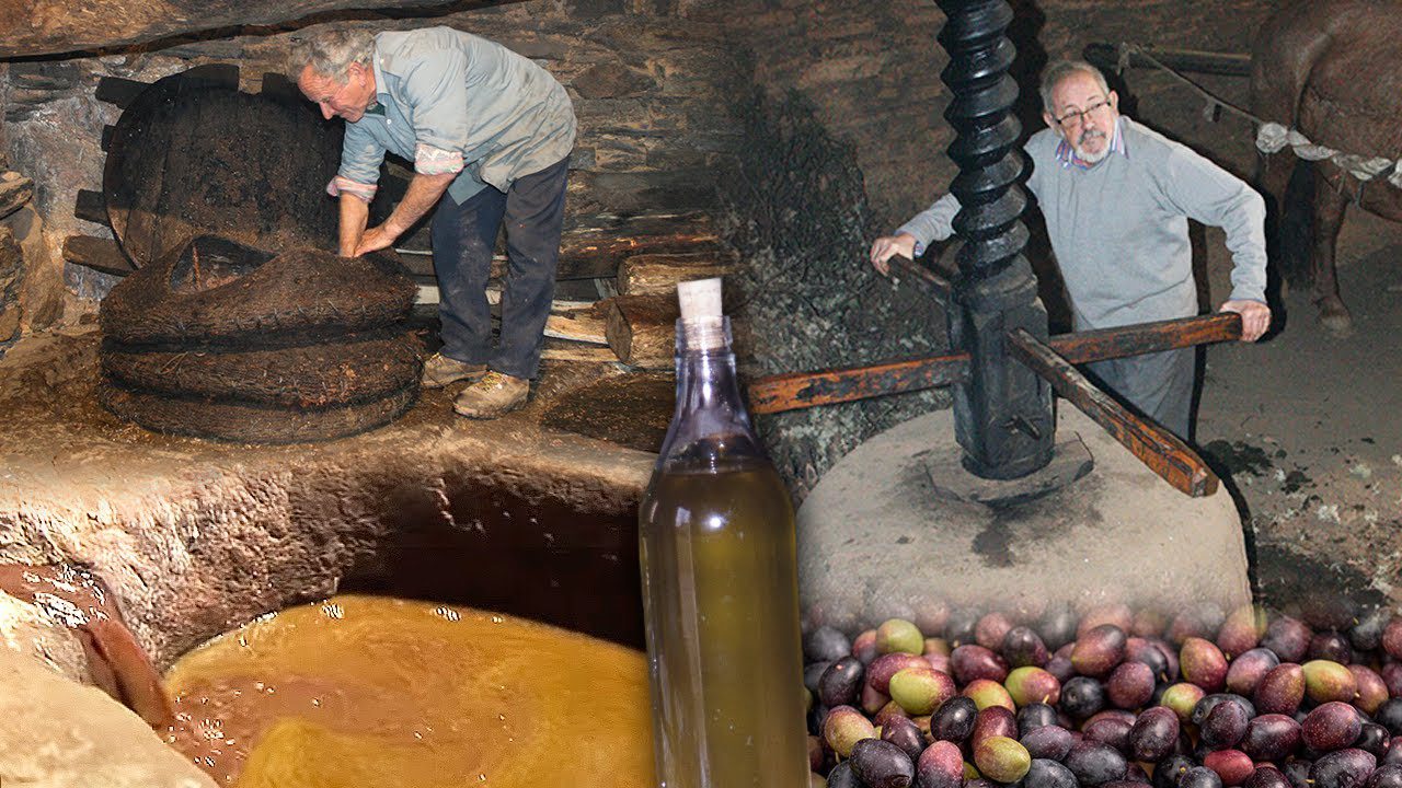 Paradores-y-Rutas-del-Aceite-de-Oliva-El-Oro-Liquido-de-Espana | Paradores.tv