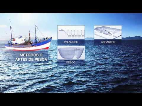 Paradores-y-Rutas-del-Pescado-Fresco-Del-Mar-a-la-Mesa | Paradores.tv