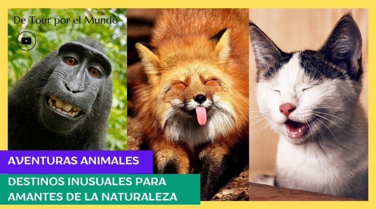 Aventuras-Acuaticas-Paradores-en-Destinos-para-los-Amantes-del-Agua | Paradores.tv