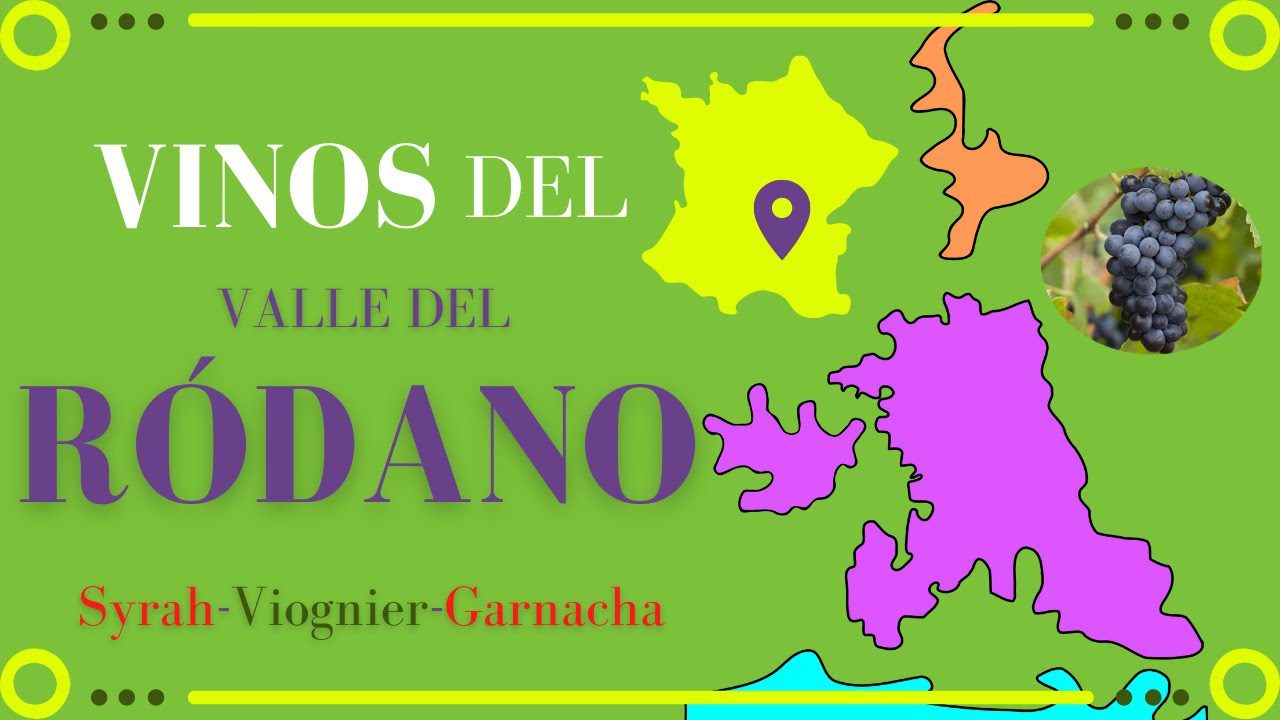 De-Vinedos-a-Bodegas-Explorando-los-Paradores-en-Regiones-Vinicolas | Paradores.tv