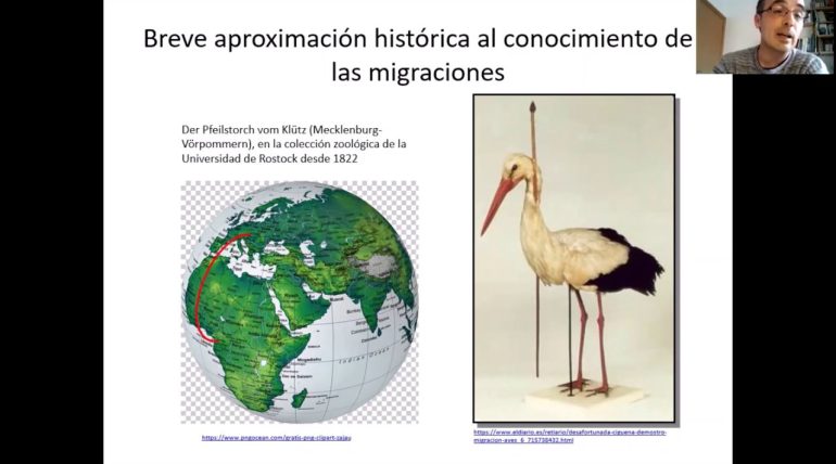 Paradores-y-Rutas-de-Observacion-de-Aves-Descubriendo-la-Fauna-Espanola | Paradores.tv