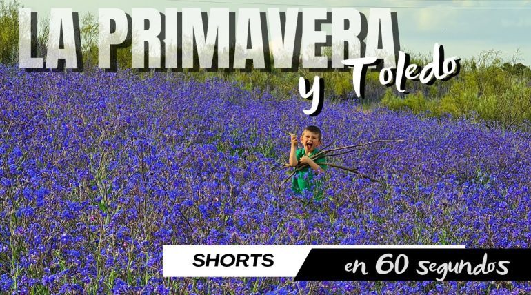 Toledo-en-Primavera-desde-el-Parador-Flores-que-Despiertan-la-Ciudad | Paradores.tv