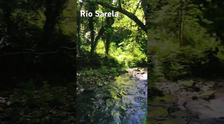 Vistas-al-Rio-Sarela-El-Parador-y-su-Ubicacion-Natural | Paradores.tv