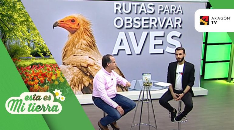 Paradores-con-las-mejores-rutas-de-observacion-de-aves | Paradores.tv Paradores con las mejores rutas de observación de aves