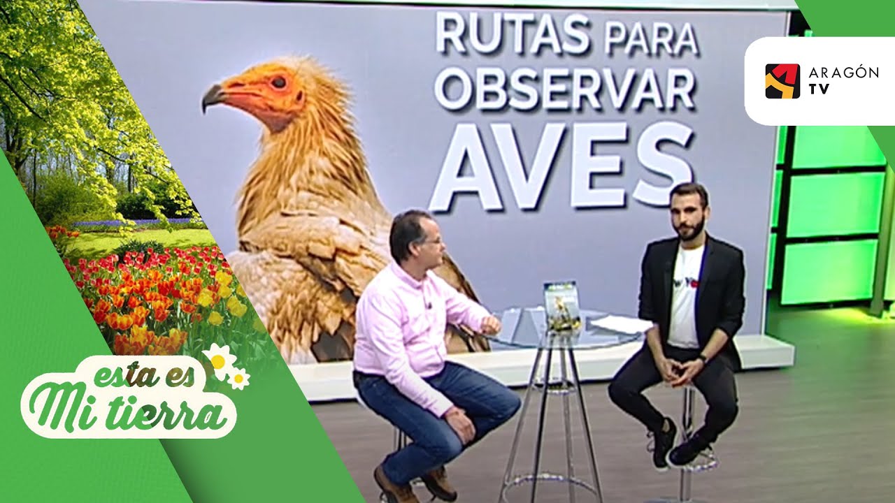 Paradores con las mejores rutas de observación de aves