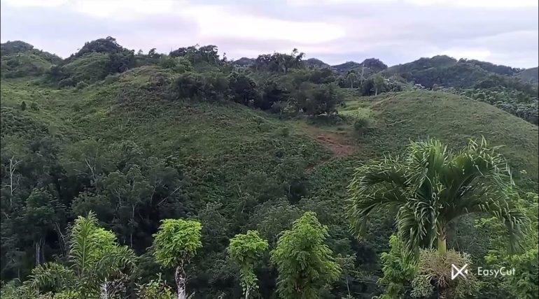 Paradores-Nacionales-Un-refugio-de-lujo-para-los-amantes-de-la-naturaleza-y-la-tranquilidad | Paradores.tv Paradores Nacionales: Un refugio de lujo para los amantes de la naturaleza y la tranquilidad