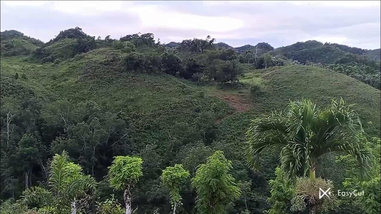Paradores Nacionales: Un refugio de lujo para los amantes de la naturaleza y la tranquilidad