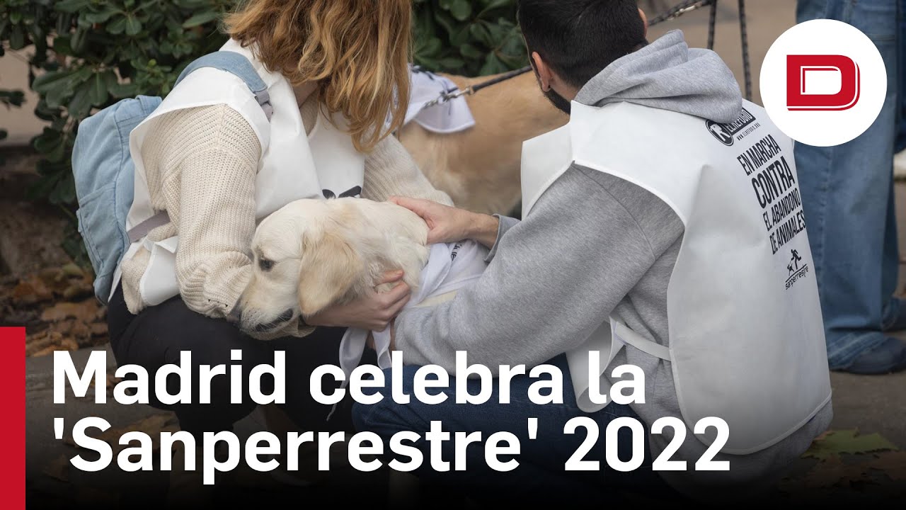 paradores-cerca-de-madrid-que-admiten-mascotas | Paradores.tv paradores cerca de madrid que admiten mascotas