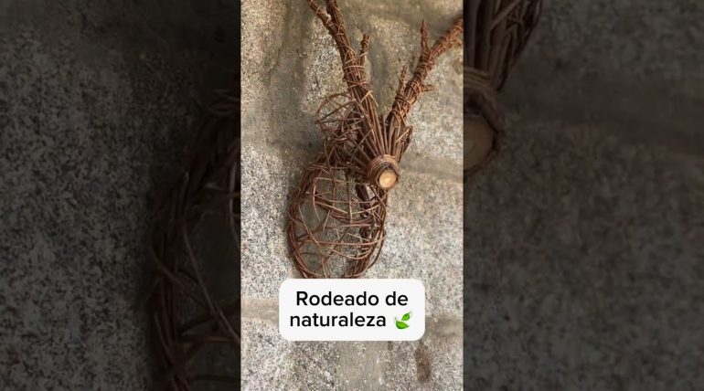 Paradores-Nacionales-Escapadas-de-lujo-para-los-viajeros-que-buscan-confort-historia-y-naturaleza-al-mismo-tiempo | Paradores.tv Paradores Nacionales: Escapadas de lujo para los viajeros que buscan confort historia y naturaleza al mismo tiempo