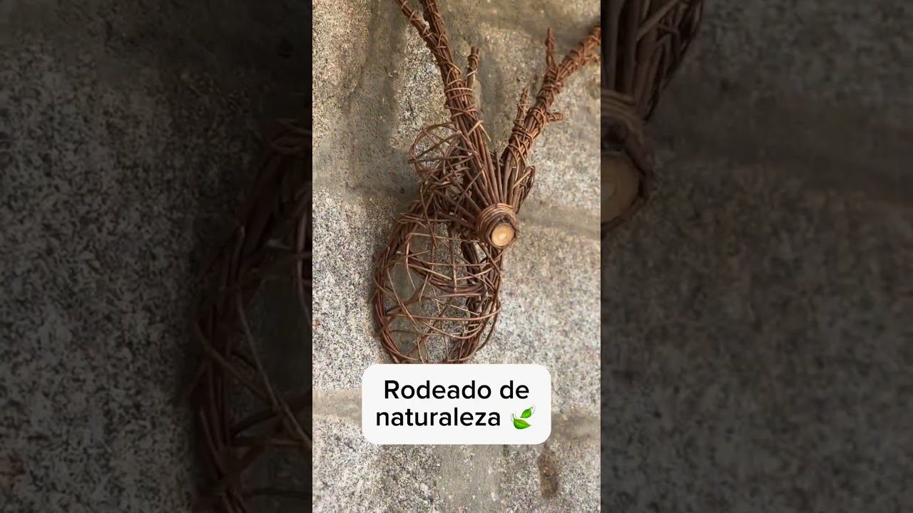 Paradores-Nacionales-Escapadas-de-lujo-para-los-viajeros-que-buscan-confort-historia-y-naturaleza-al-mismo-tiempo | Paradores.tv Paradores Nacionales: Escapadas de lujo para los viajeros que buscan confort historia y naturaleza al mismo tiempo