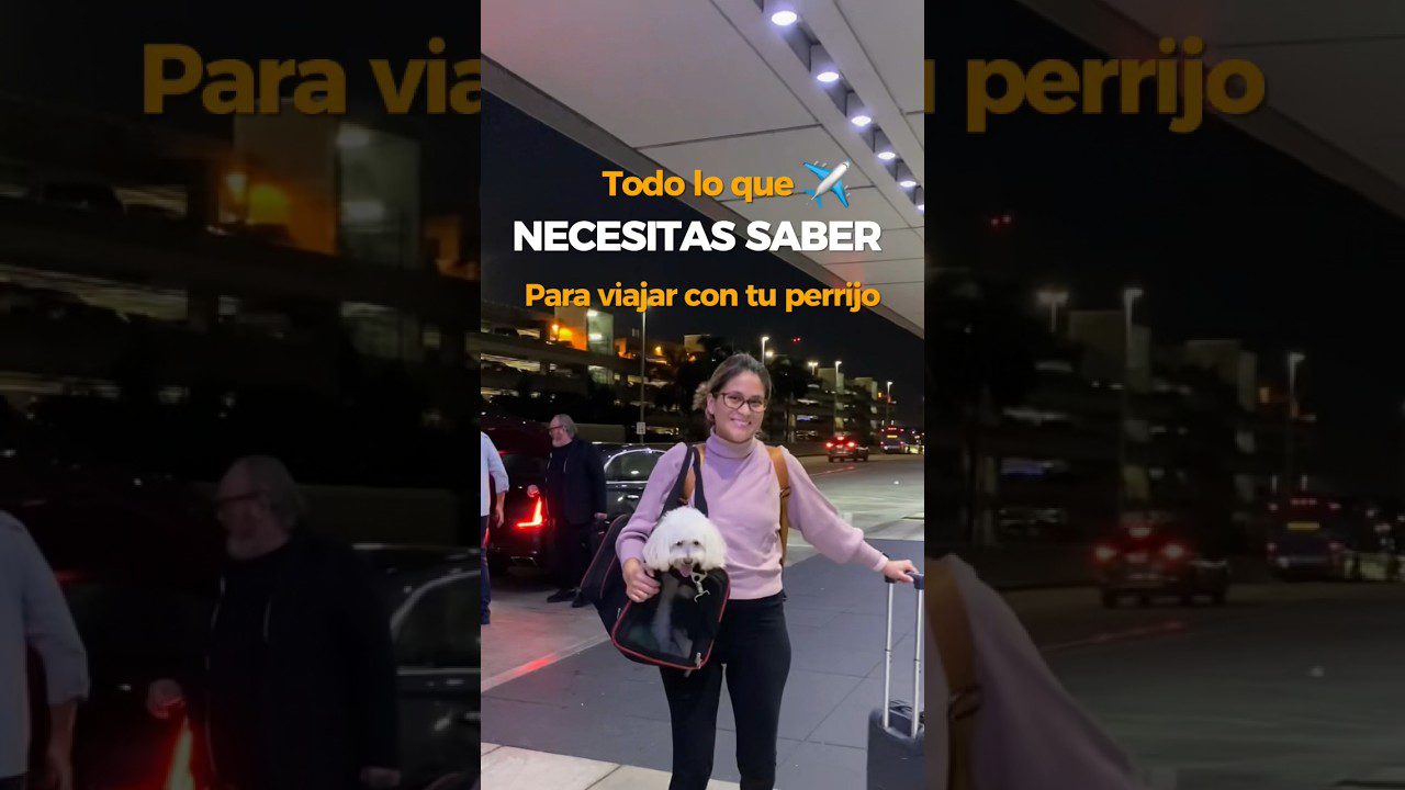 experiencias únicas en Qué paradores en España admiten mascotas