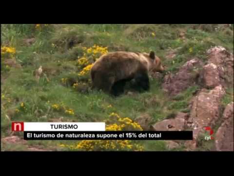 Mejores Paradores de turismo en Castilla y León con enfoque de naturaleza