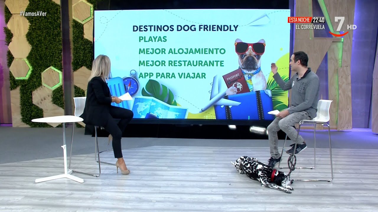 que-ciudades-estan-cerca-de-Que-paradores-en-Espana-admiten-mascotas | Paradores.tv qué ciudades están cerca de Qué paradores en España admiten mascotas