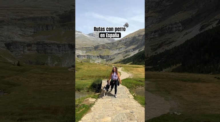 rutas culturales desde Qué paradores en España admiten mascotas