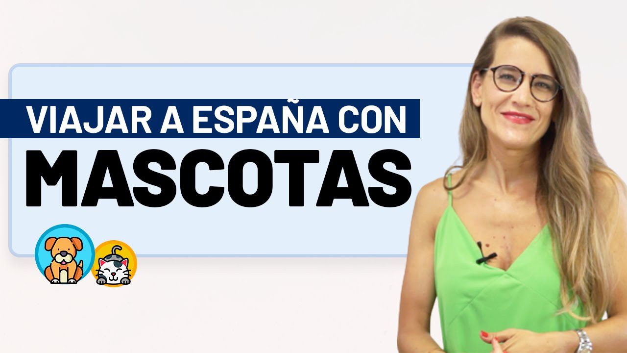 donde-aparcar-al-visitar-Que-paradores-en-Espana-admiten-mascotas | Paradores.tv dónde aparcar al visitar Qué paradores en España admiten mascotas