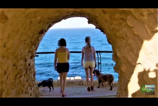 que-ver-en-el-casco-antiguo-cerca-de-Que-paradores-en-Espana-admiten-mascotas | Paradores.tv qué ver en el casco antiguo cerca de Qué paradores en España admiten mascotas