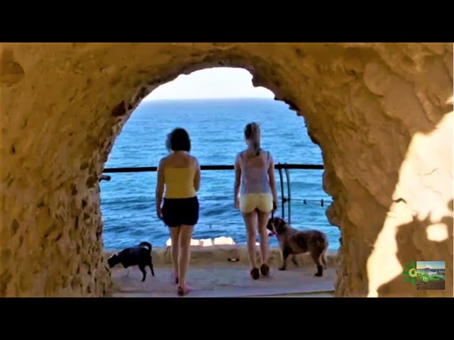 que-ver-en-el-casco-antiguo-cerca-de-Que-paradores-en-Espana-admiten-mascotas | Paradores.tv qué ver en el casco antiguo cerca de Qué paradores en España admiten mascotas
