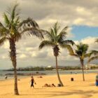 El turismo en Lanzarote y la búsqueda de alojamientos tranquilos en entornos volcánicos - - 779951 - Finca Tamaragua | Paradores.tv El turismo en Lanzarote y la búsqueda de alojamientos tranquilos en entornos volcánicos - Sunlit sandy beach with tall palm trees, people relaxing on the shore, and a calm sea under a partly cloudy sky.